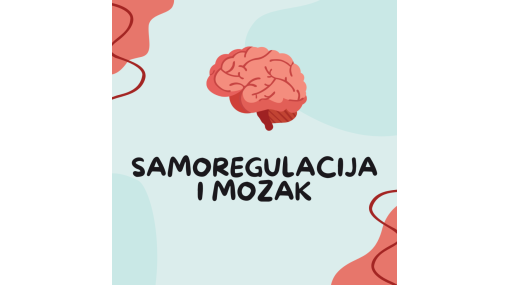MOZAK I SAMOREGULACIJA